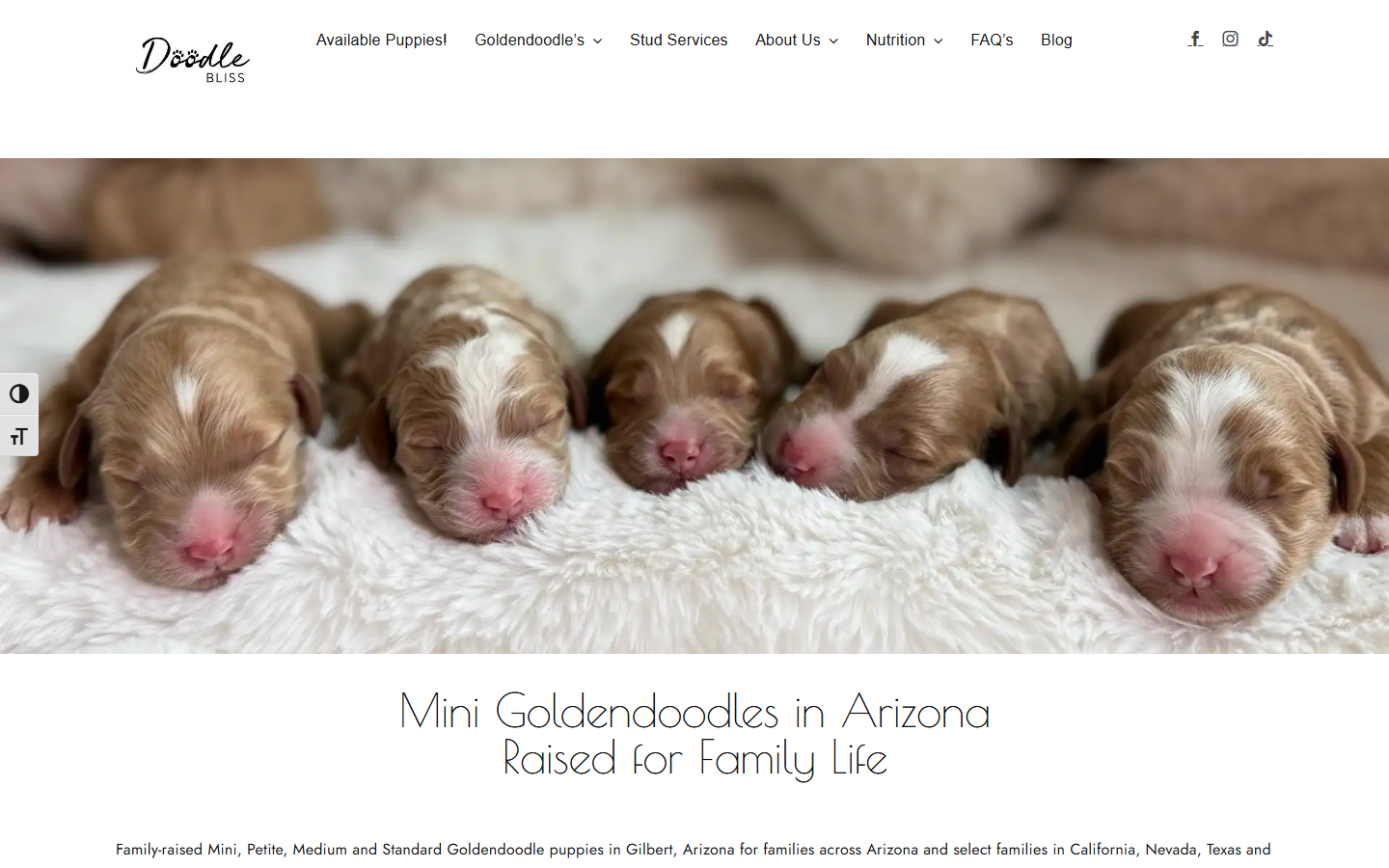 Screenshot preview of DoodleBliss.com.